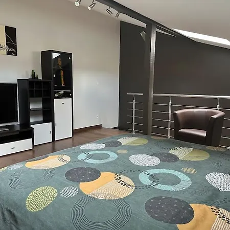 Un Petit Cocon De Tranquillité * Mulhouse