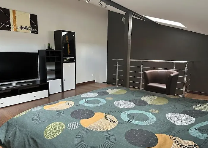 Un Petit Cocon De Tranquillité * Mulhouse